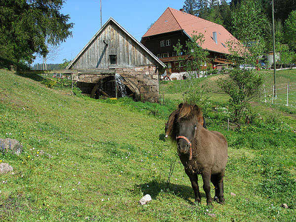 Unser Bauernhof
