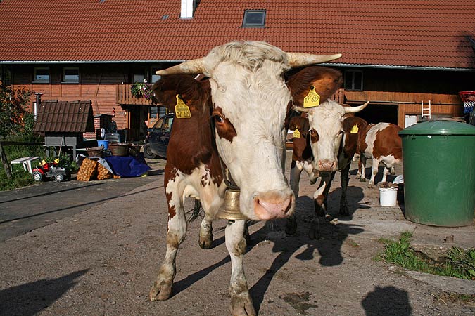 Unser Bauernhof