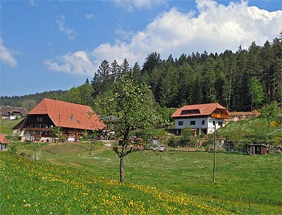 Der Kammererhof mit Ferienwohnung