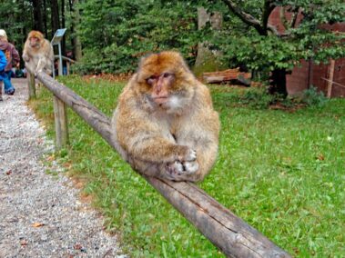 Freizeitaktivitaeten Ausfluege 01