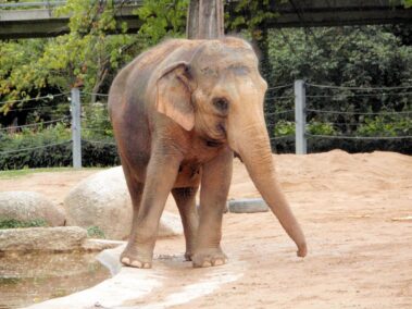 Freizeitaktivitaeten Ausfluege 07